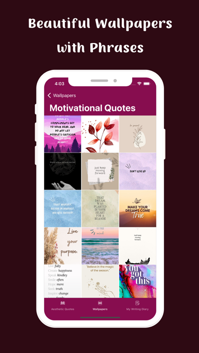Aesthetic Quotes Screenshot