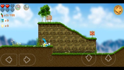 Beeny Rabbit Adventure World Screenshot