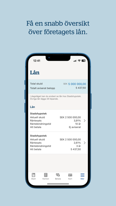 Handelsbanken SE – Företag Screenshot