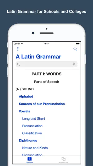 A Latin Grammar screenshot 1