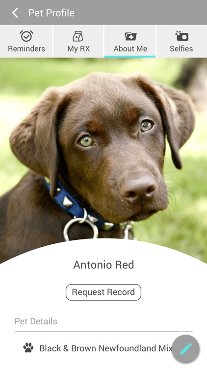 Westown Veterinary Clinic