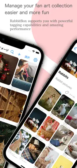 Game screenshot RabbitBox - Image Organizer apk