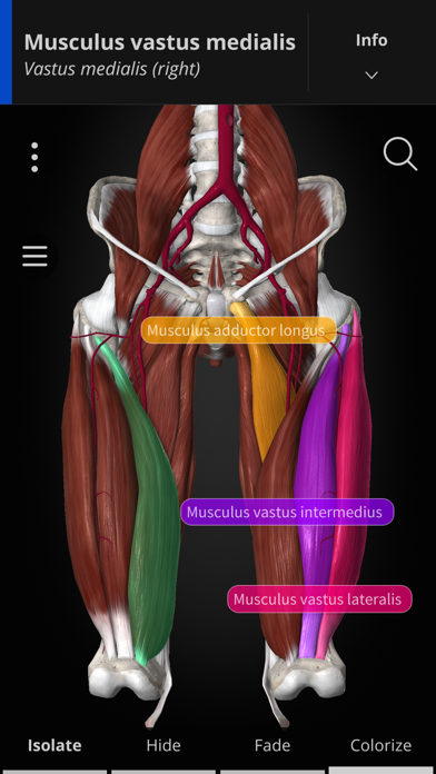 Anatomyka Screenshot