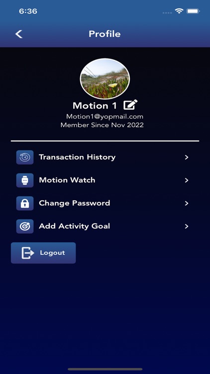 THE MOTION screenshot-5