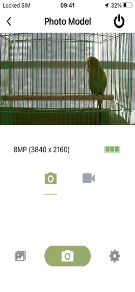 Game screenshot Bird Watching Camera hack