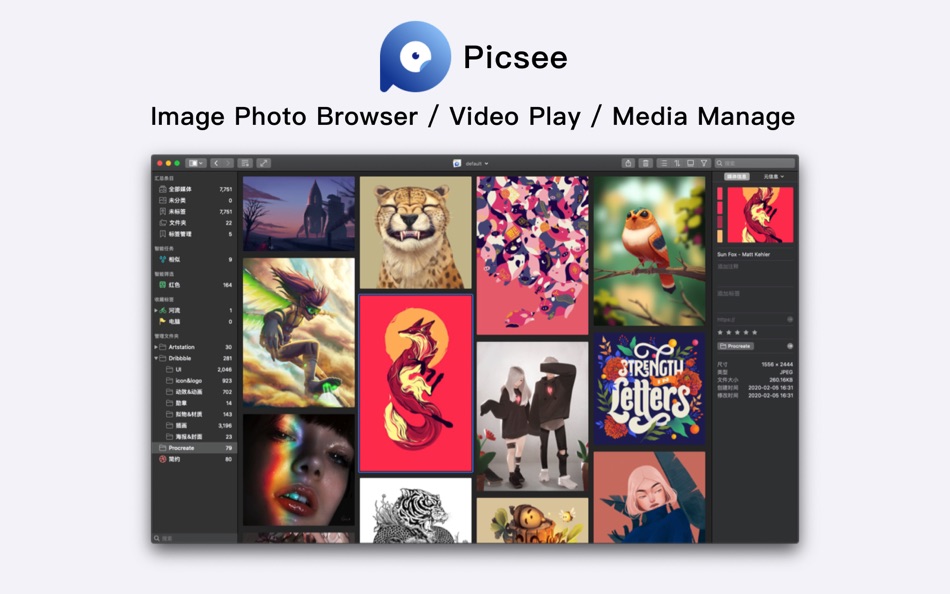 Picsee - Photo Browse & Manage - 1.7.1 - (macOS)