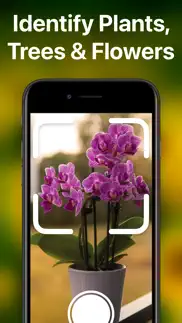 plantai - plant identifier iphone screenshot 2