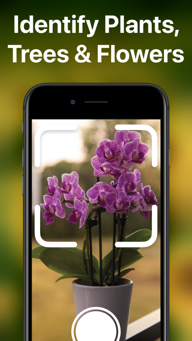 PlantAI - Plant Identifier Screenshot