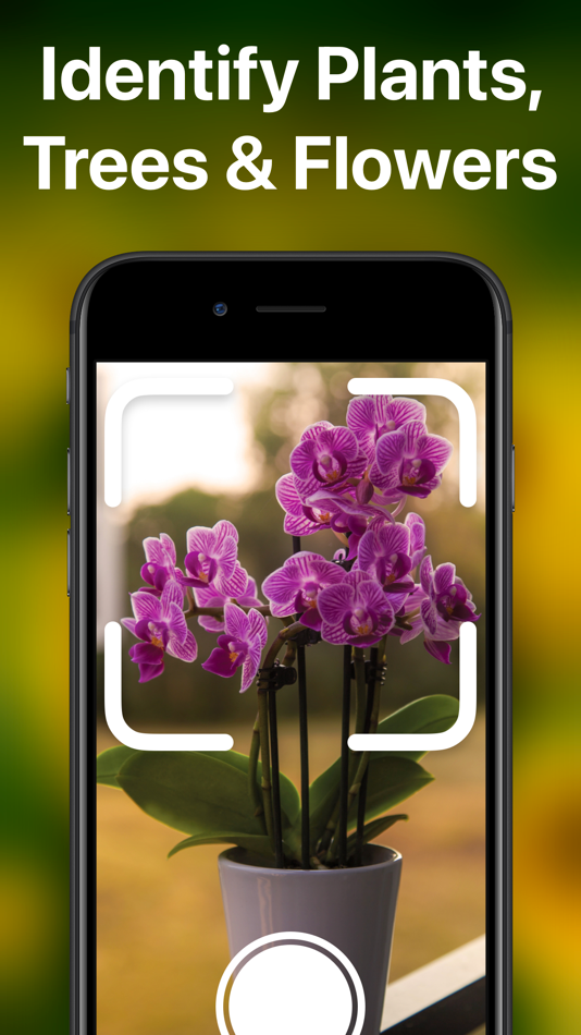 #2. PlantAI - Plant Identifier (iOS) Ved: Rocket Apps GmbH