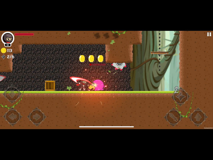 Super Ninja Princess Rescue