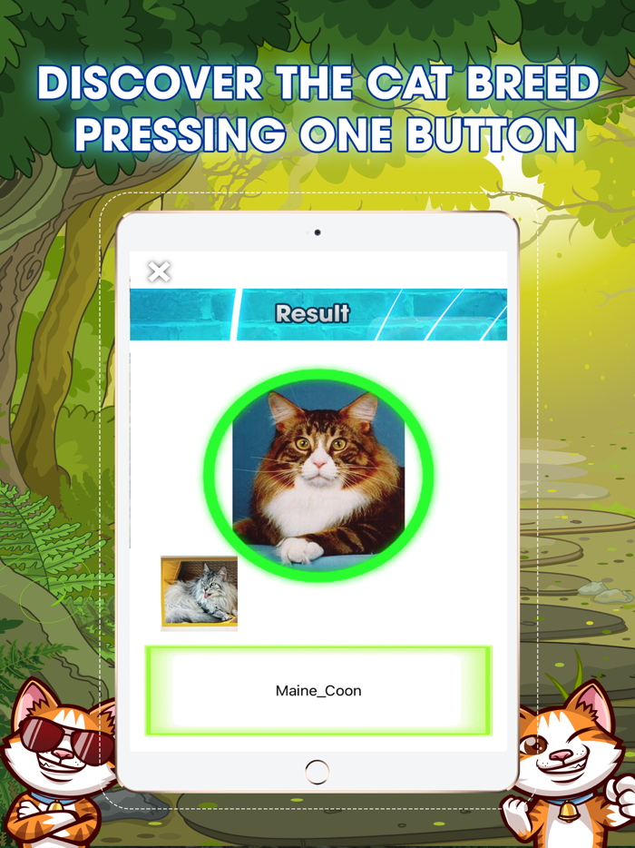 Cat Breeds Identifier PRO