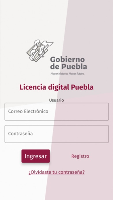 Licencia Digital Puebla Screenshot