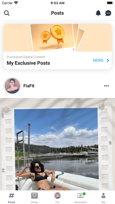 FiaFit Screenshot