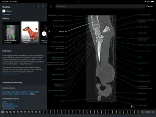 Captura de Pantalla 5 vet-Anatomy iphone