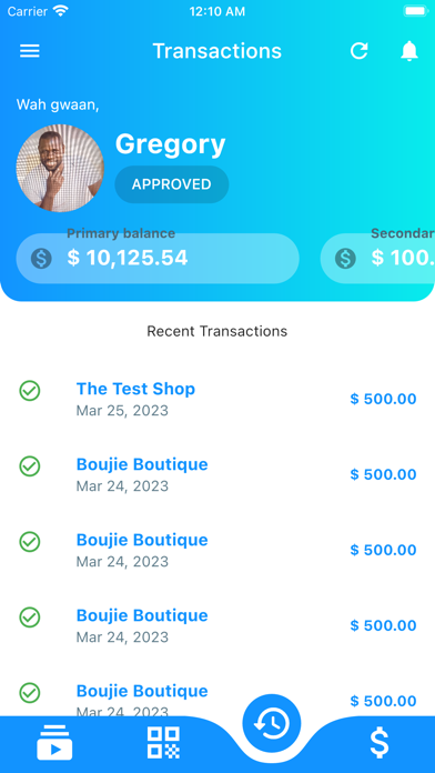 Payemm Mobile Screenshot