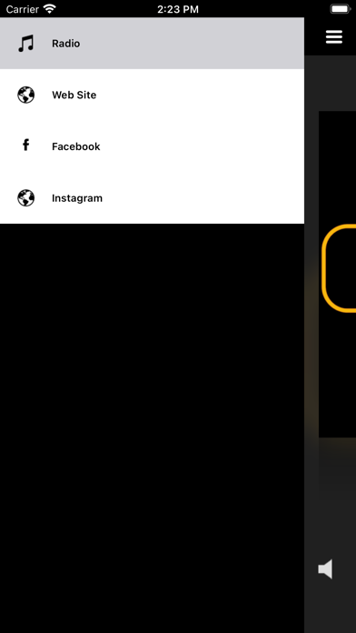 Goody Music Radio Screenshot