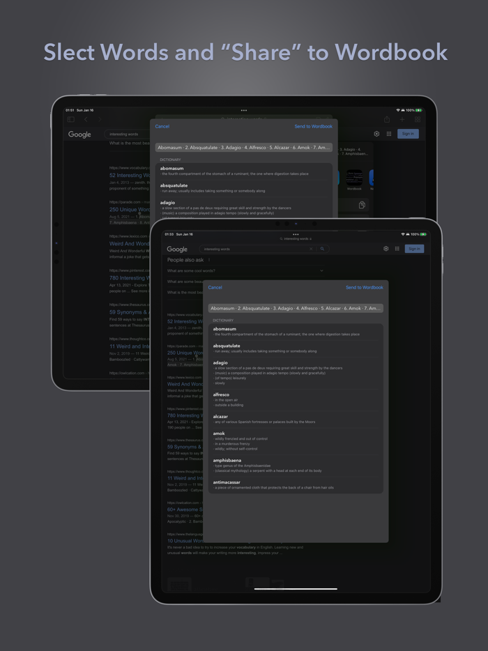 Wordbook - Grab Words Anywhere