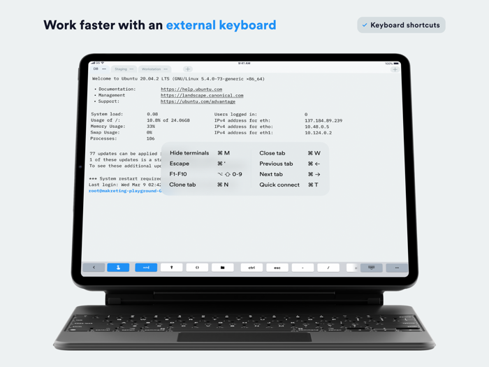 Termius Terminal and SSH client