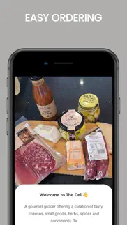 the deli online problems & solutions and troubleshooting guide - 3