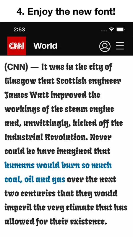 Any Font for Safari screenshot 6 of 6