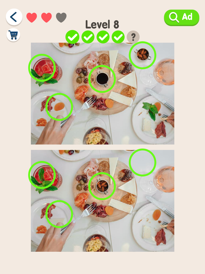 Find Different Picture Puzzle