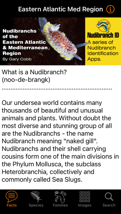 Nudibranch ID E Atlantic Medのおすすめ画像2