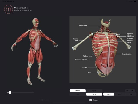 Anatomy Reference Guideのおすすめ画像5