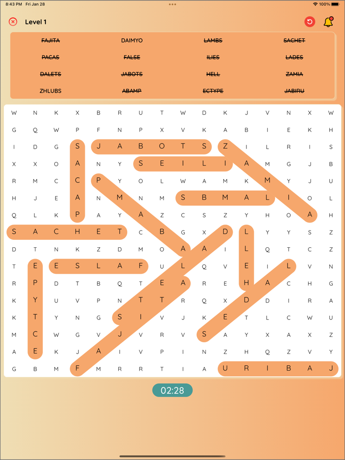 Word Puzzle Brain Game