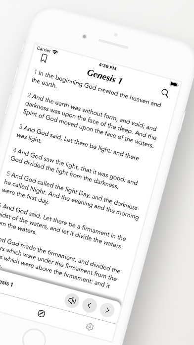 Divine Dive - Holy Bible Daily Screenshot