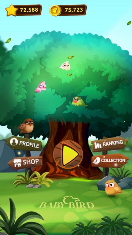 Bird Sorting Mania screenshot-0