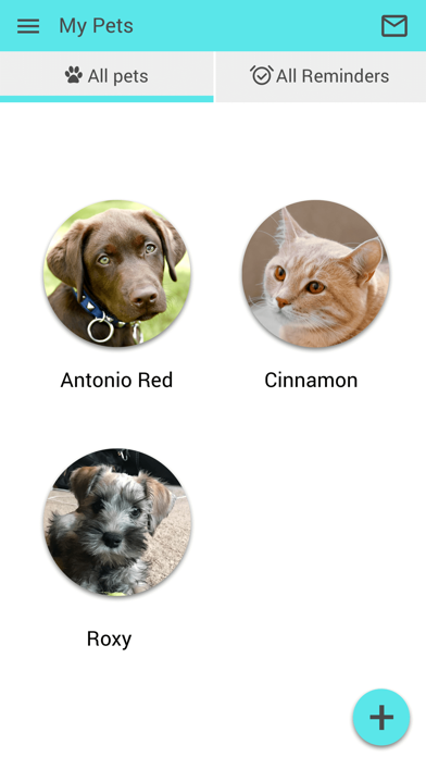 Stone Ridge Veterinary Medical Screenshot