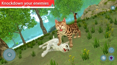 Cat Simulator Kitty Cat Games Screenshot