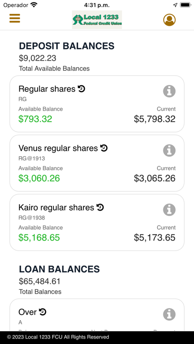 Local 1233 FCU Screenshot