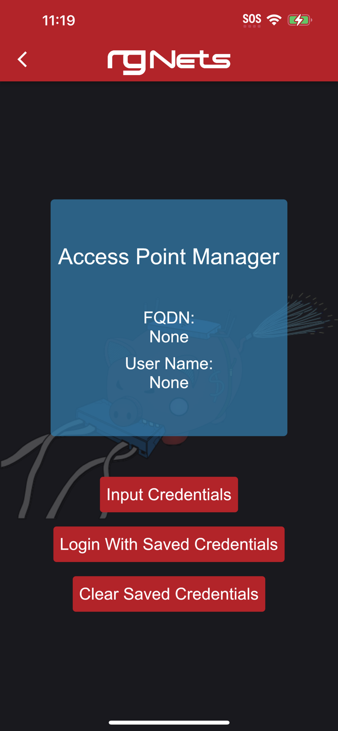 rXg Account Details Editor