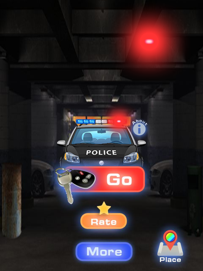 Police car experience