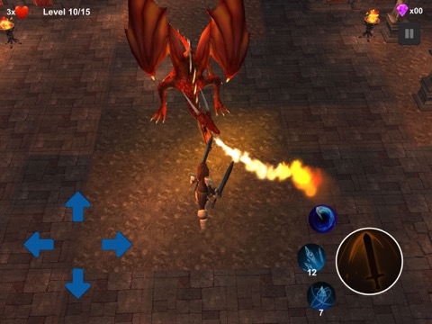 Hero North:Dragon Slayer 3d IOのおすすめ画像3