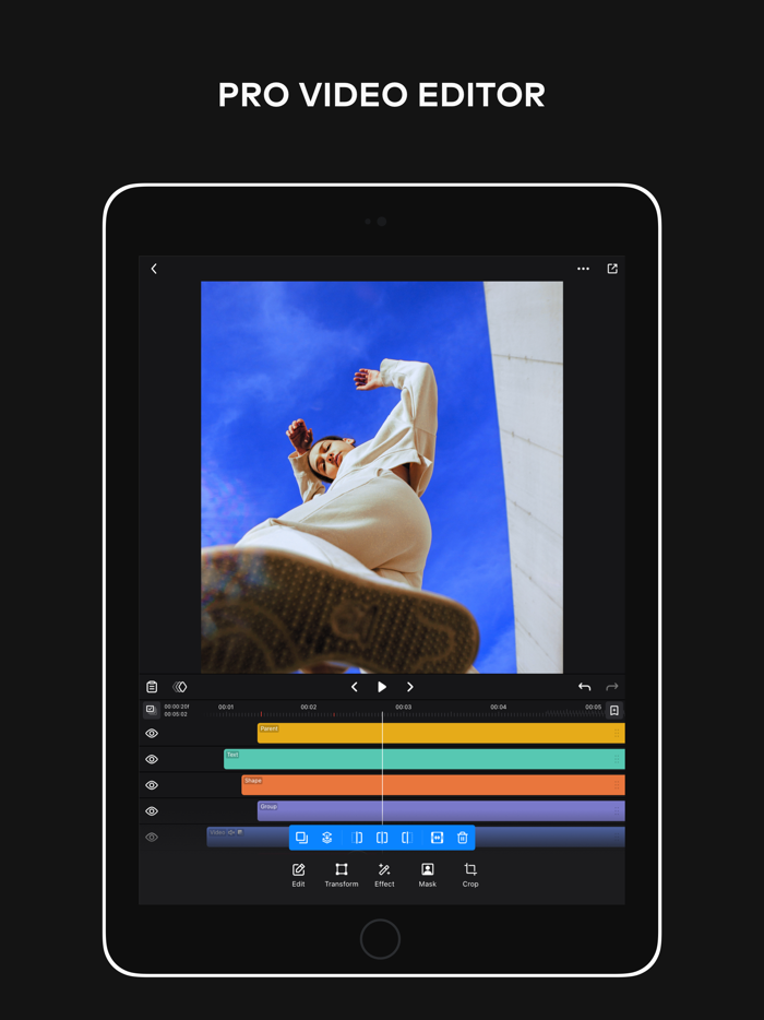 Ivy Professional Video Editor