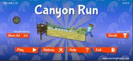 Game screenshot BTS Canyon Run mod apk