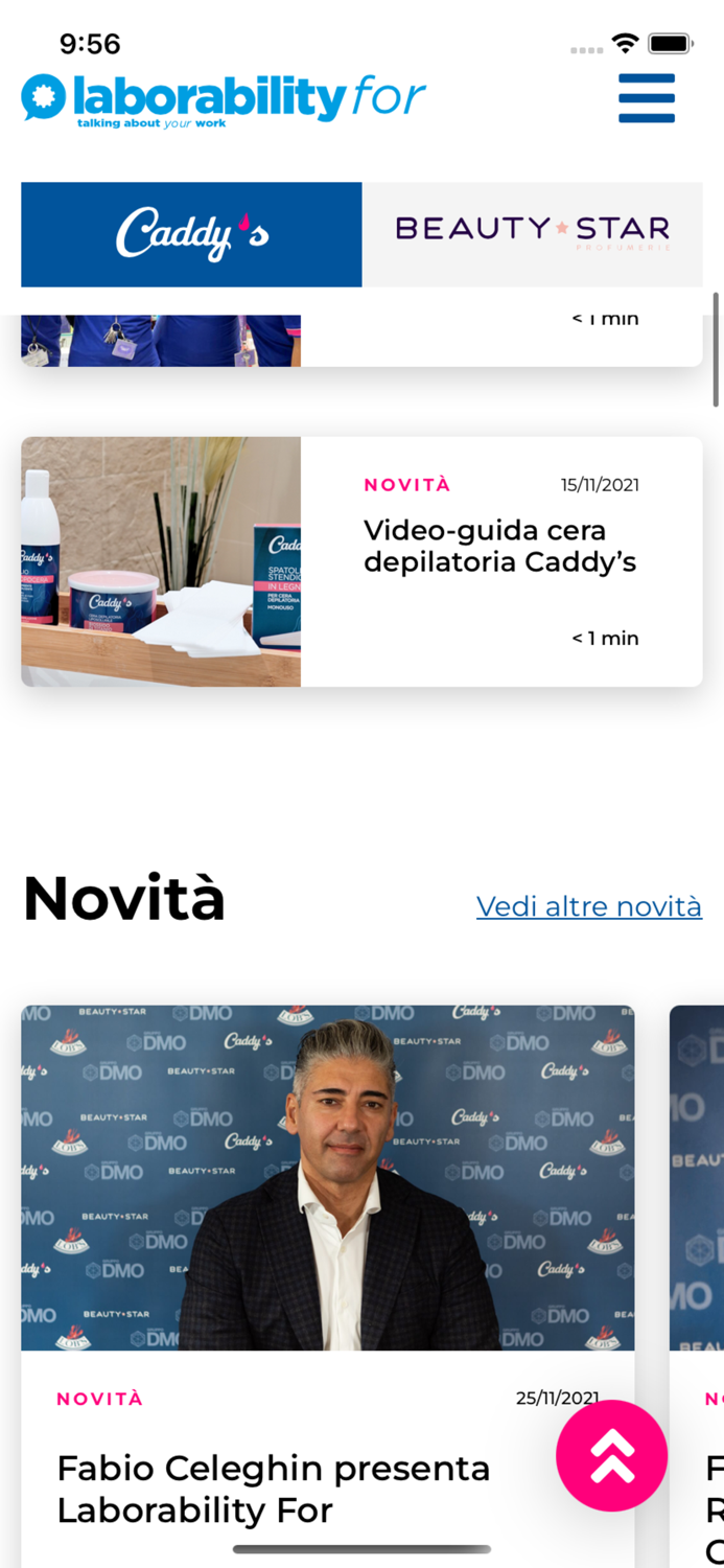 laborability for DMO