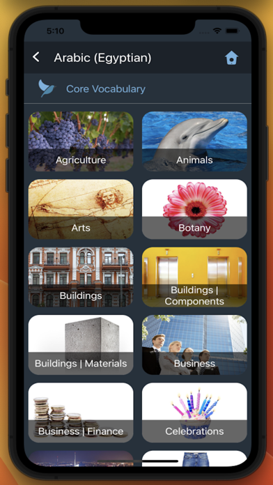 Bluebird: Egyptian Arabic Screenshot