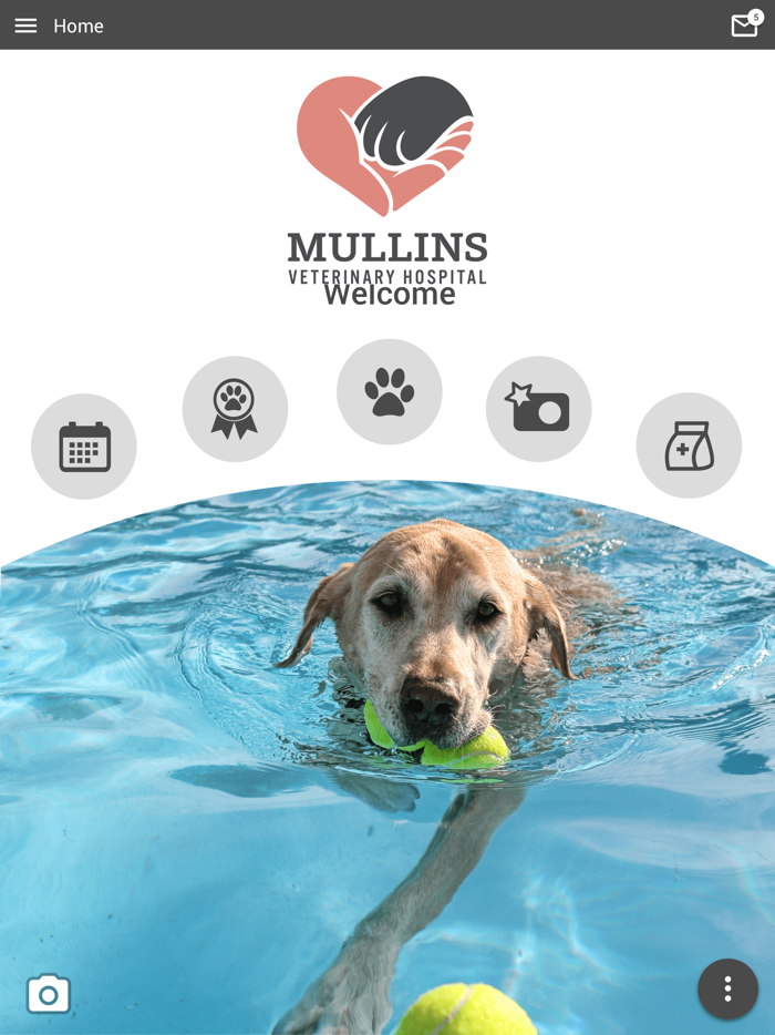 Mullins Veterinary Hospital