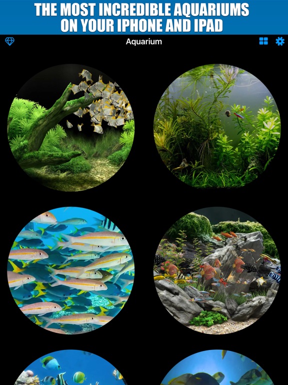 Screenshot #4 pour Aquarium TV Screen