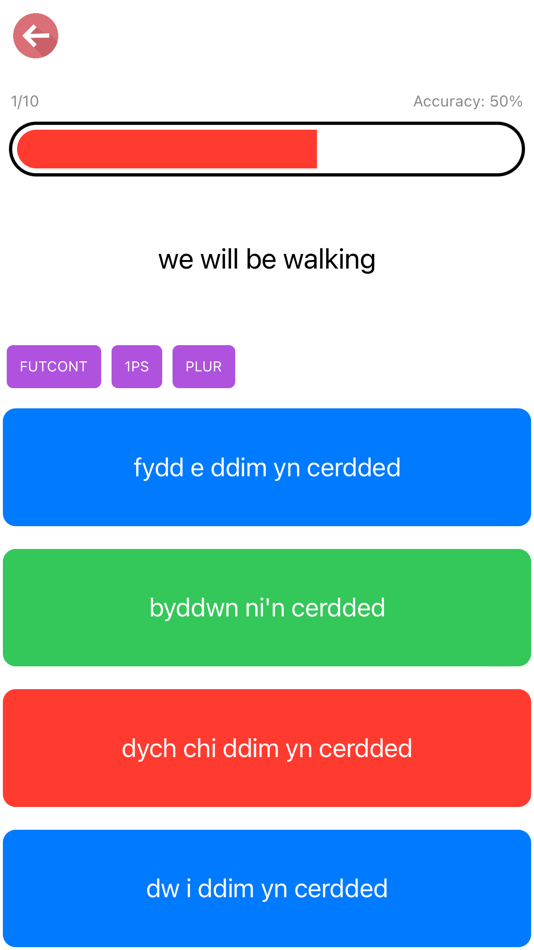 #6. Welsh Verb Blitz (iOS) By: RusMate.co.uk