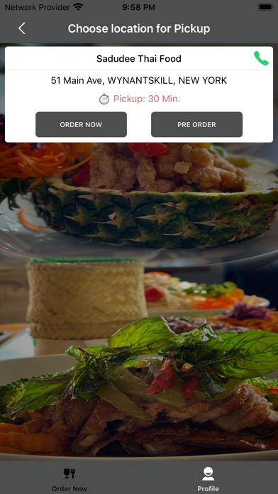 Sadudee Thai Food Screenshot