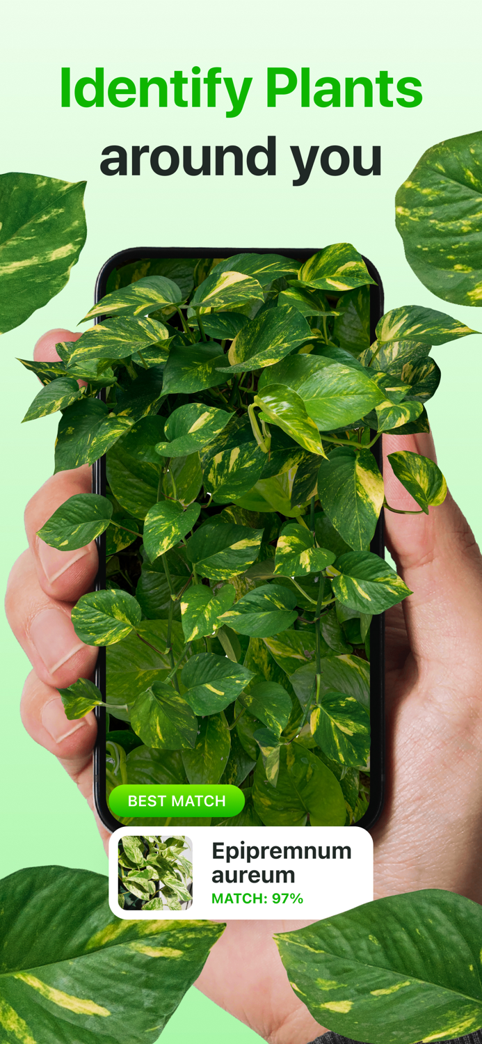 AI Plant Identifier App－Botan