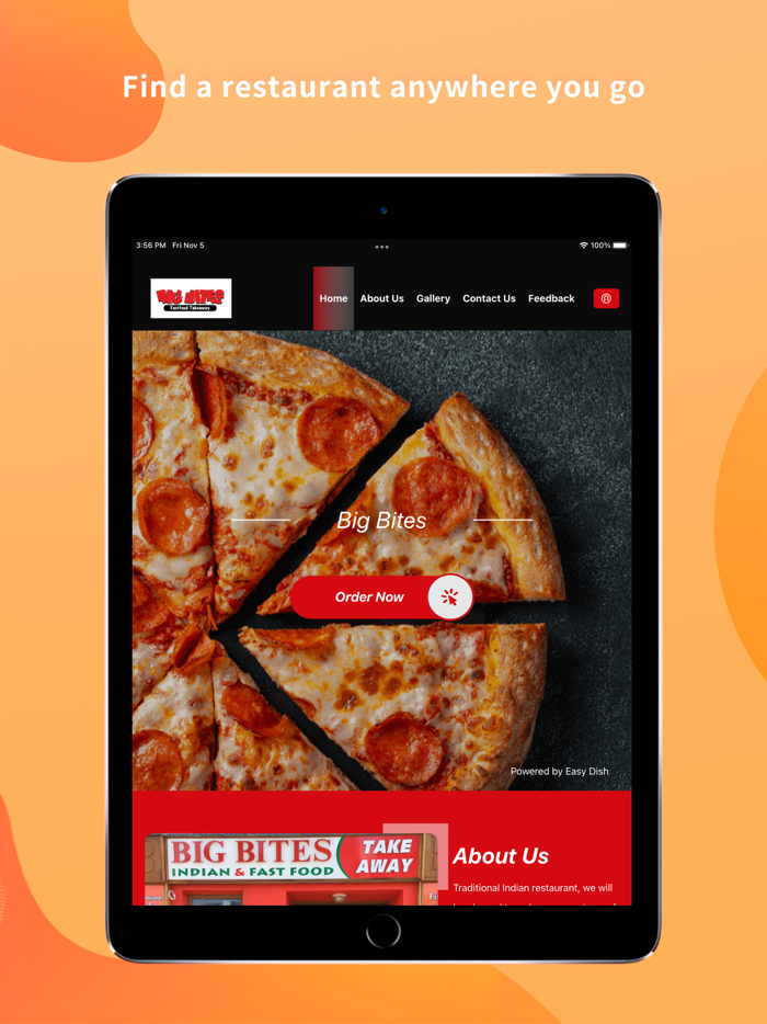 Big Bites Indian and Fastfood