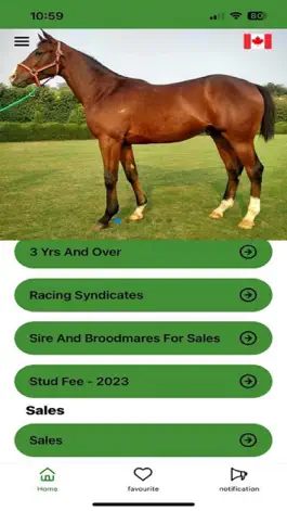 Game screenshot Just Horses apk