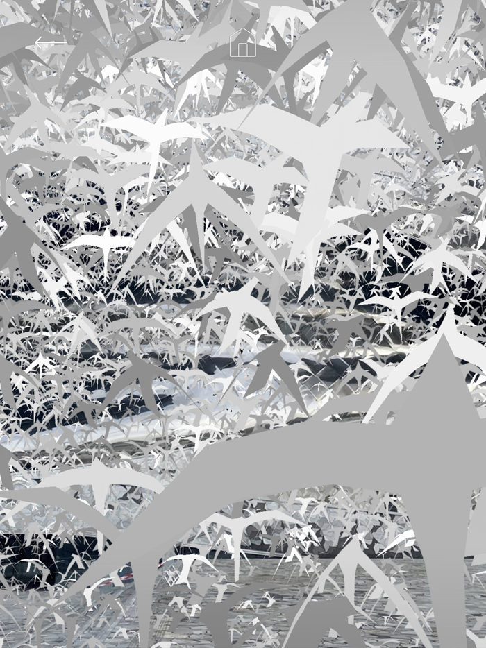 Les oiseaux de la Philharmonie