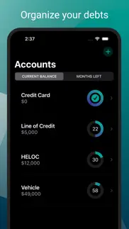 debt zero iphone screenshot 2