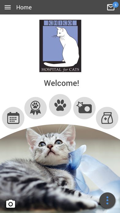 Chico Hospital for Cats Screenshot